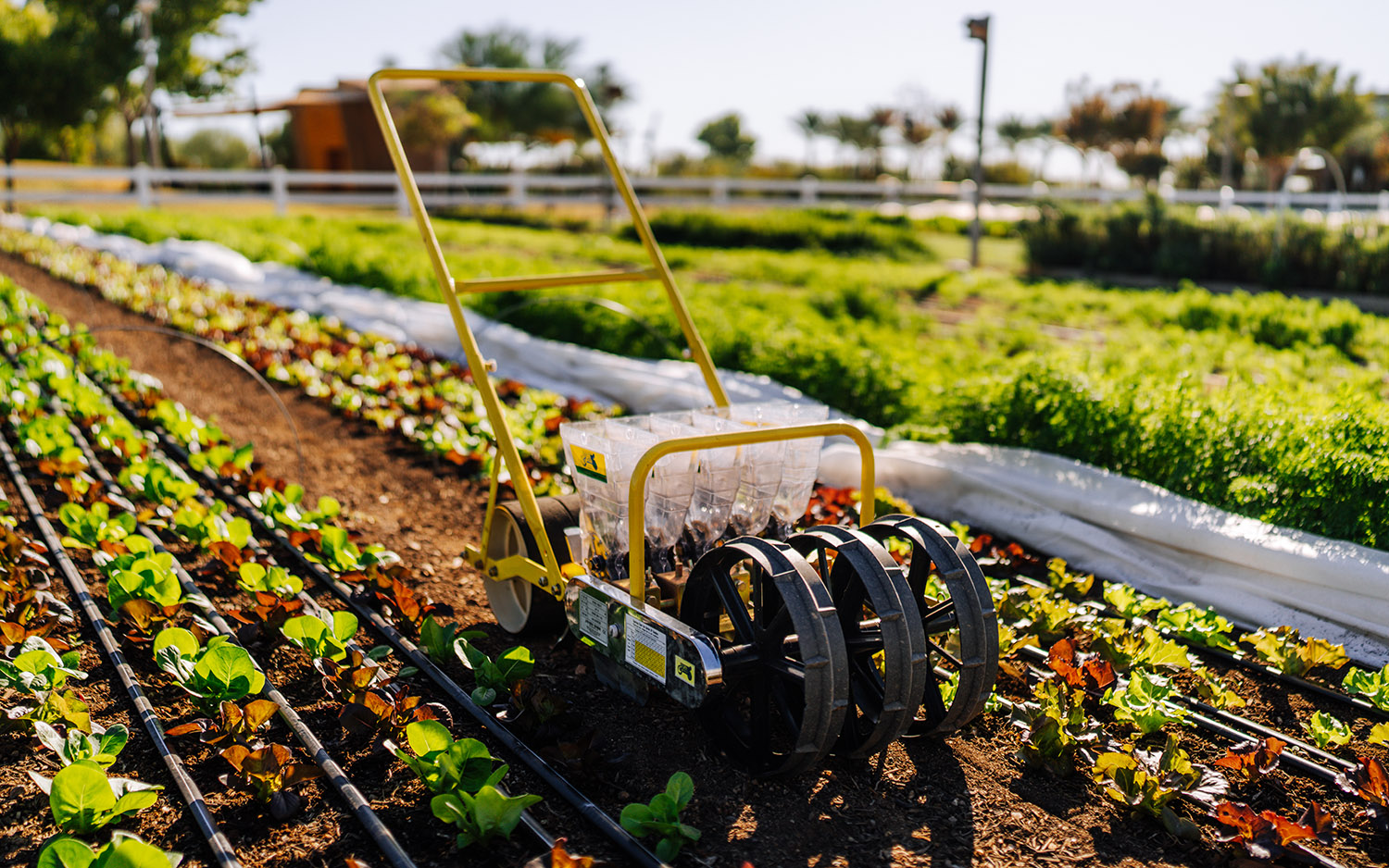 Branded-Content-Photography-Video-Phoenix21 Branded Content Photography Video - Scottsdale SEO & Web Design | Bemo Design