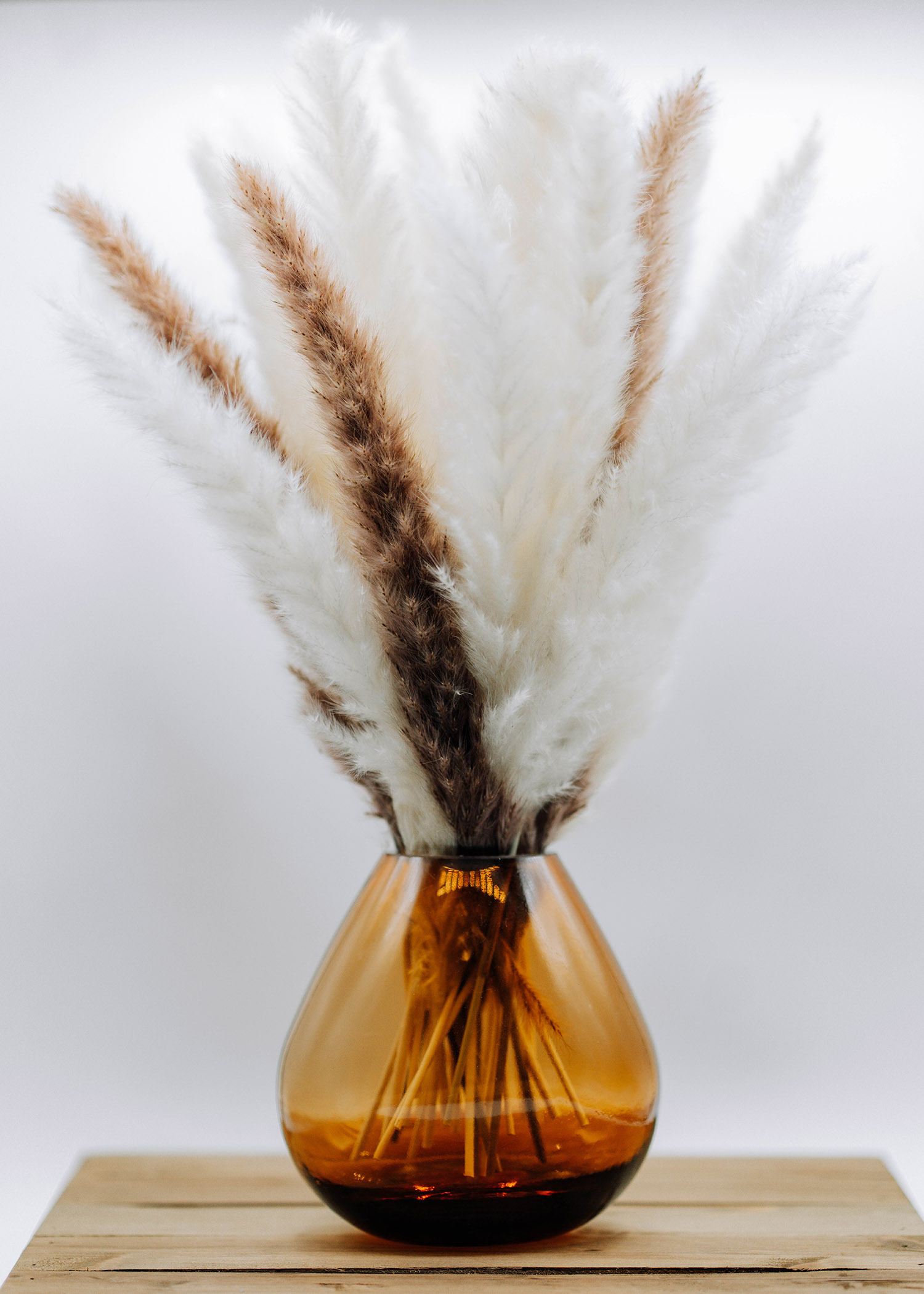 Branded-Content-Photography-Video-Phoenix34 Branded Content Photography Video - Scottsdale SEO & Web Design | Bemo Design