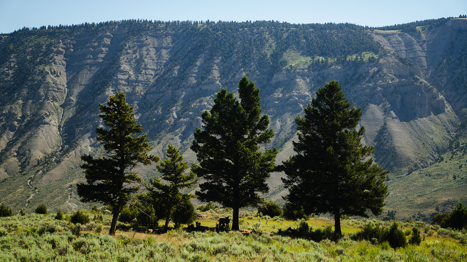 Fine-Art-Landscape-Photography-Prints17 Fine Art Landscape Photography Prints17 - Scottsdale SEO & Web Design | Bemo Design