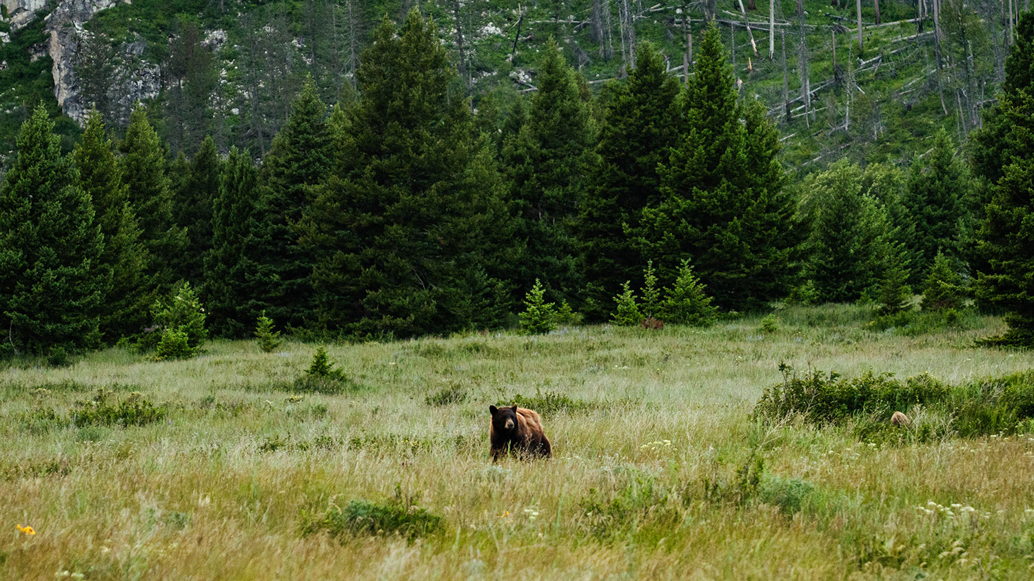 Fine-Art-Landscape-Photography-Prints21 Fine Art Landscape Photography Prints21 - Scottsdale SEO & Web Design | Bemo Design