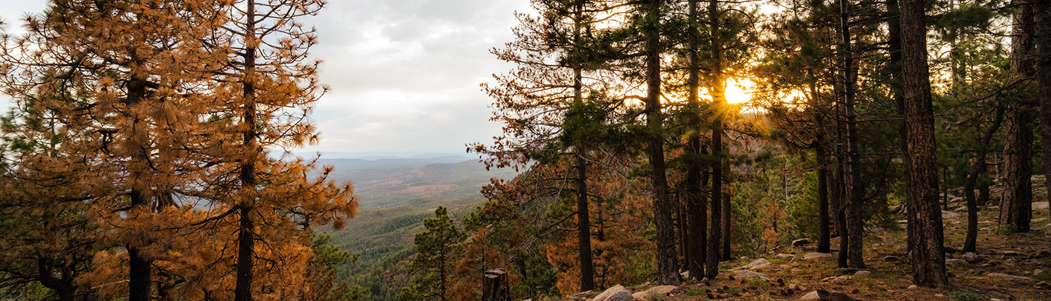 LANDSCAPE 9 Fine Art Landscape Photography Prints23 - Scottsdale SEO & Web Design | Bemo Design