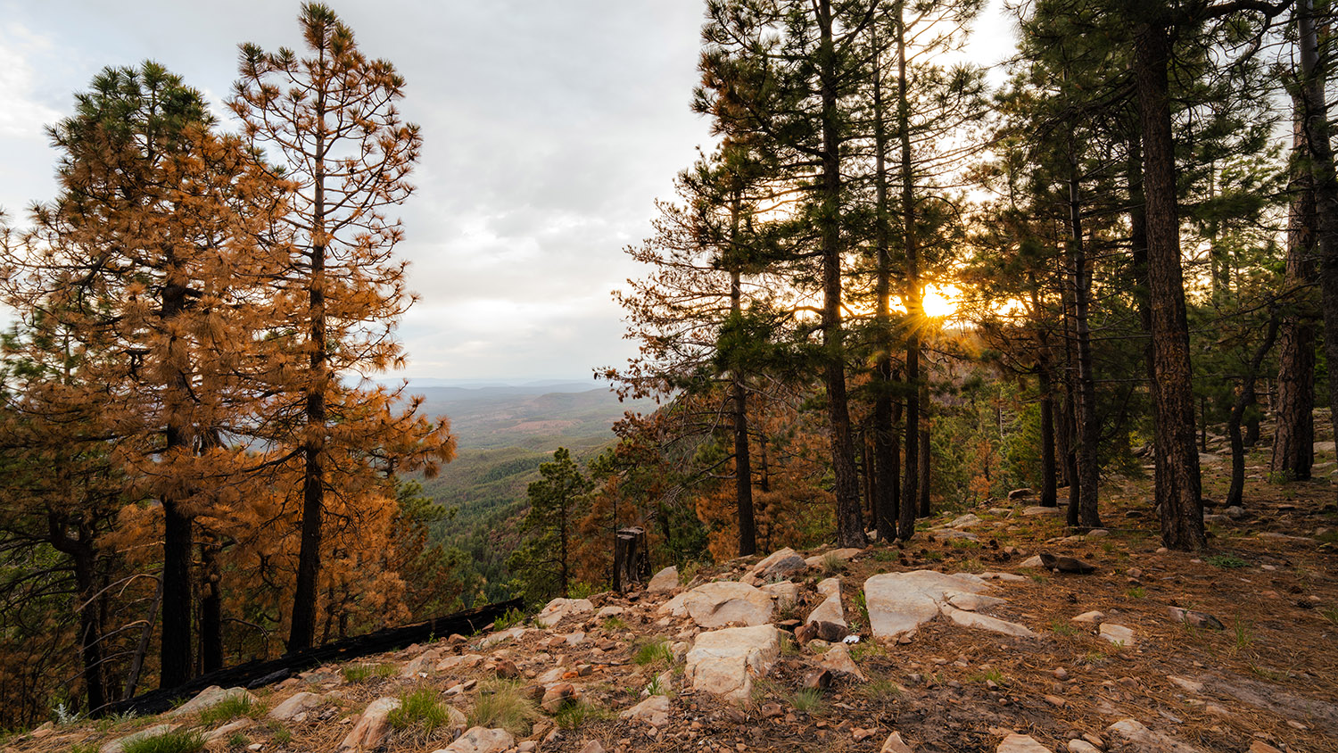 Fine-Art-Landscape-Photography-Prints23 Fine Art Landscape Photography Prints23 - Scottsdale SEO & Web Design | Bemo Design