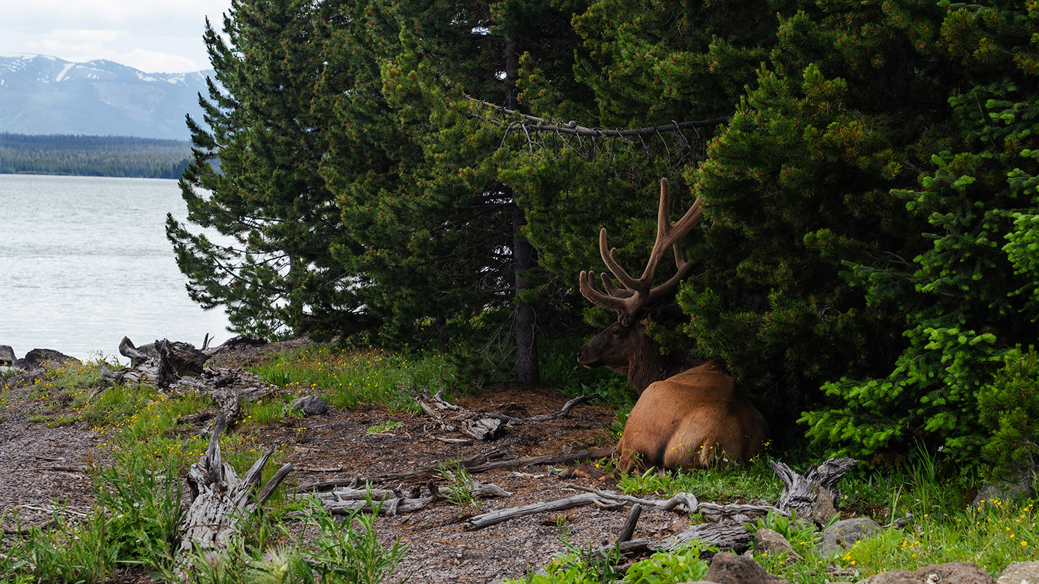 Fine-Art-Landscape-Photography-Prints27 Fine Art Landscape Photography Prints27 - Scottsdale SEO & Web Design | Bemo Design