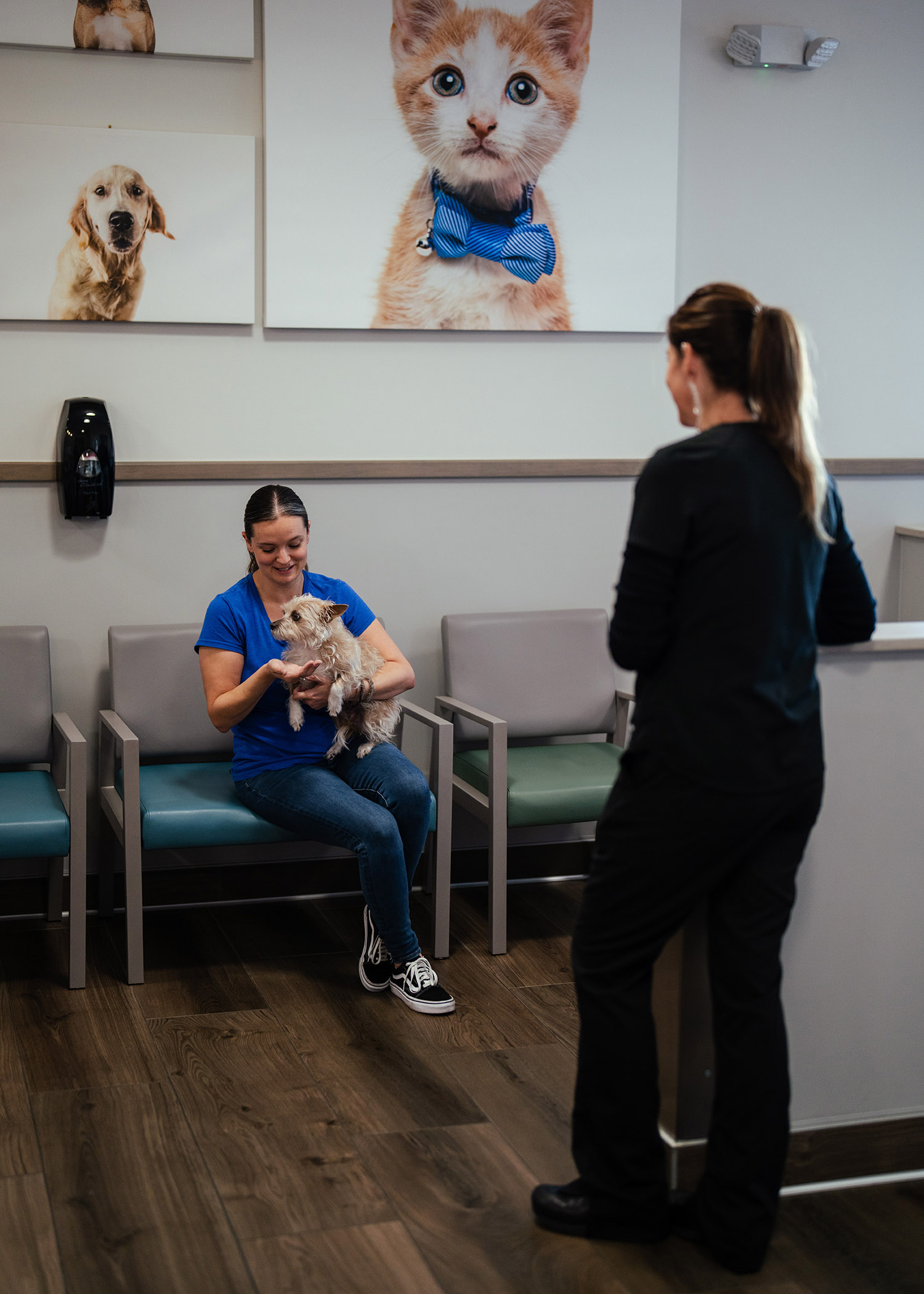 business-photography-video-phoenix-arizona13 business photography video phoenix arizona13 - Scottsdale SEO & Web Design | Bemo Design