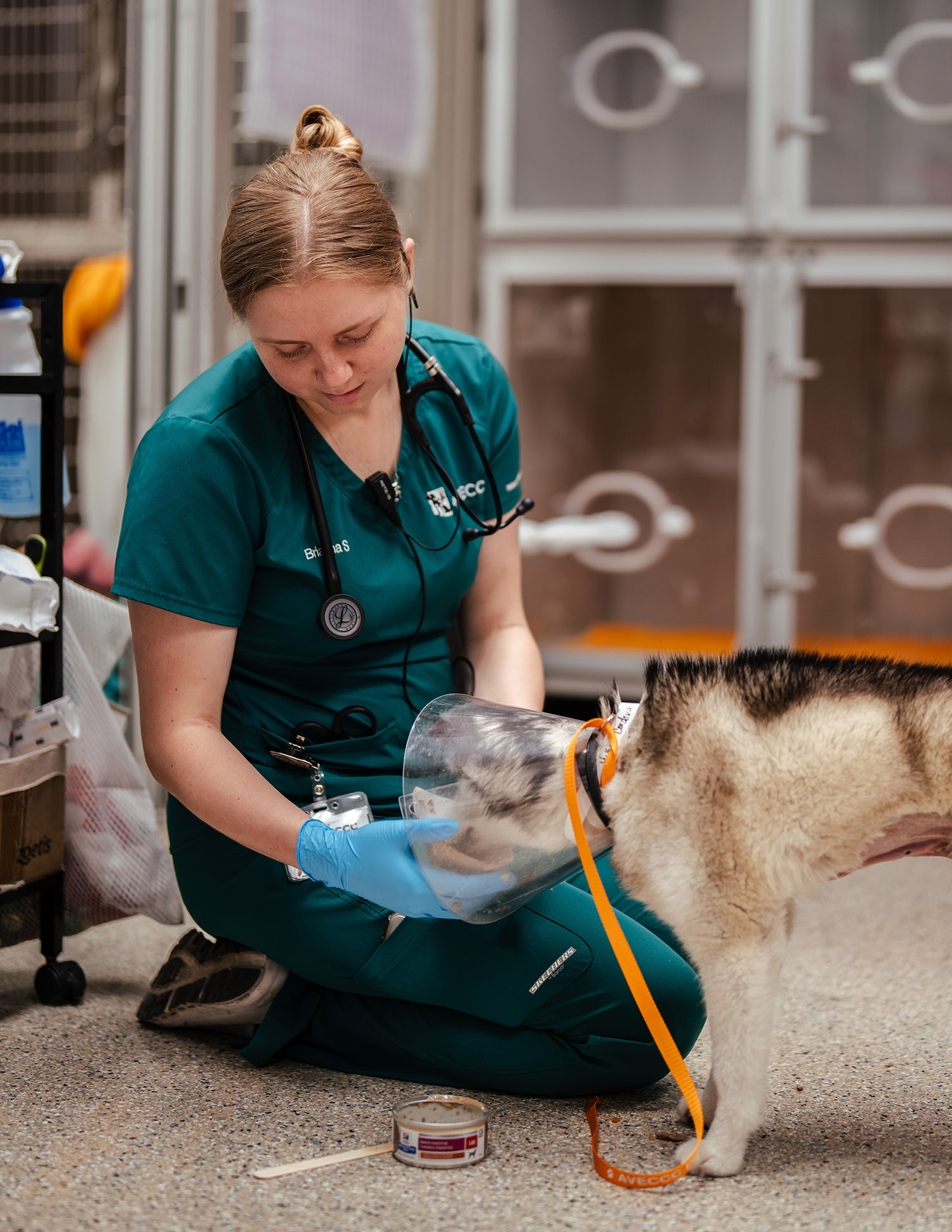 business-photography-video-phoenix-arizona6 business photography video phoenix arizona6 - Scottsdale SEO & Web Design | Bemo Design