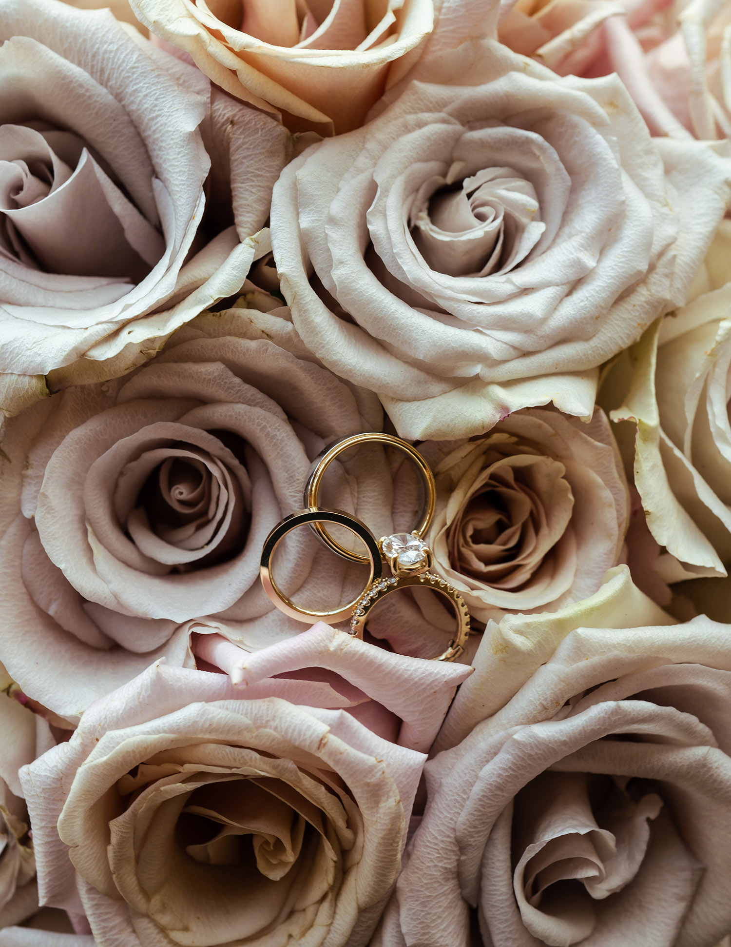 rustic-countryside-wedding-photography22 rustic countryside wedding photography22 - Scottsdale SEO & Web Design | Bemo Design