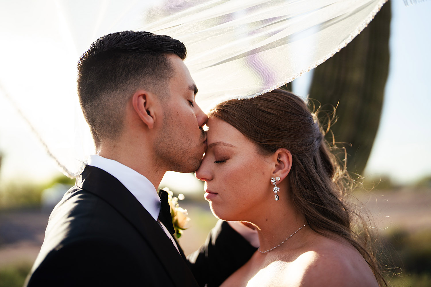 modern-chic-wedding-photography-colby-falls-wedgewood-weddings-arizona15 modern chic wedding photography colby falls wedgewood weddings arizona15 - Scottsdale SEO & Web Design | Bemo Design